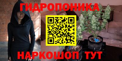 mdpv Лесосибирск