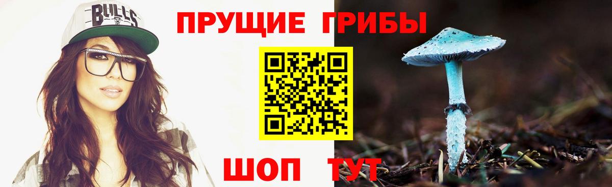 Галлюциногенные грибы мицелий  Вход с VPN  Унеча 